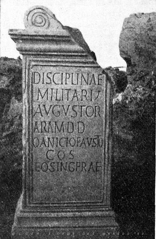 ALGERIE-RUINES ROMAINES DE LAMBESE (85).jpg